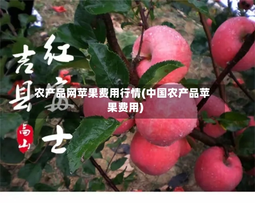 农产品网苹果费用行情(中国农产品苹果费用)