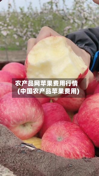 农产品网苹果费用行情(中国农产品苹果费用)-第2张图片