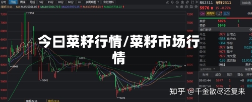 今曰菜籽行情/菜籽市场行情
