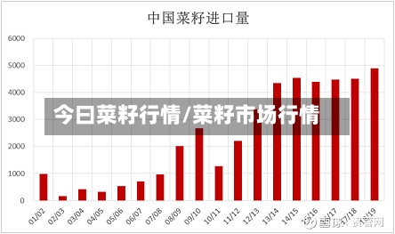 今曰菜籽行情/菜籽市场行情-第2张图片