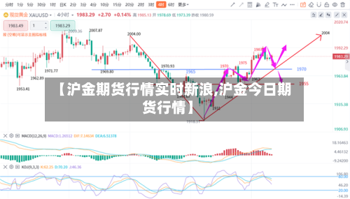 【沪金期货行情实时新浪,沪金今日期货行情】