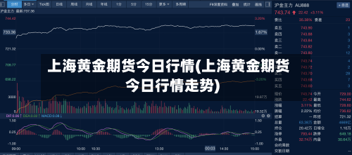 上海黄金期货今日行情(上海黄金期货今日行情走势)-第2张图片