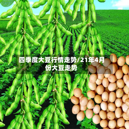 四季度大豆行情走势/21年4月份大豆走势