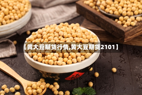 【黄大豆期货行情,黄大豆期货2101】