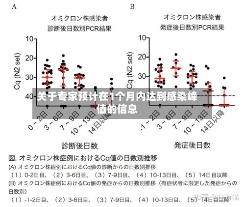 关于专家预计在1个月内达到感染峰值的信息-第2张图片