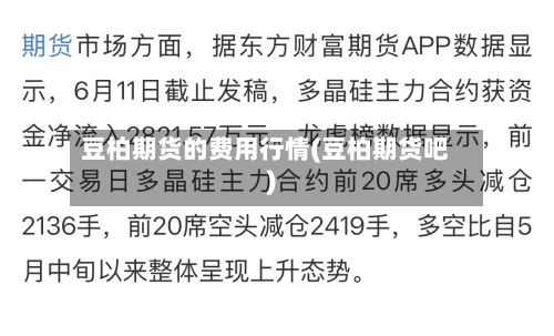 豆柏期货的费用行情(豆柏期货吧)