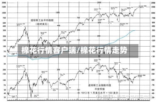 棉花行情客户端/棉花行情走势