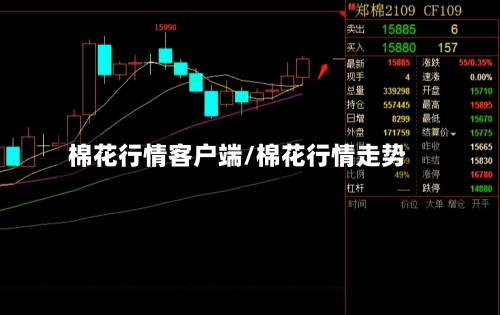 棉花行情客户端/棉花行情走势-第2张图片