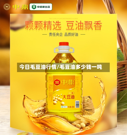 今日毛豆油行情/毛豆油多少钱一吨