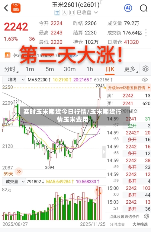 实时玉米期货今日行情/玉米期货行情玉米费用-第3张图片