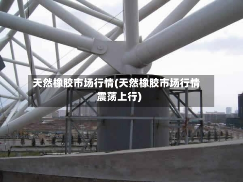 天然橡胶市场行情(天然橡胶市场行情震荡上行)-第2张图片