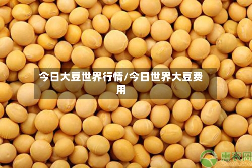 今日大豆世界行情/今日世界大豆费用-第3张图片
