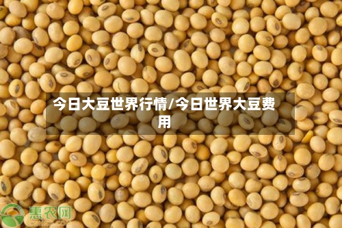 今日大豆世界行情/今日世界大豆费用-第2张图片