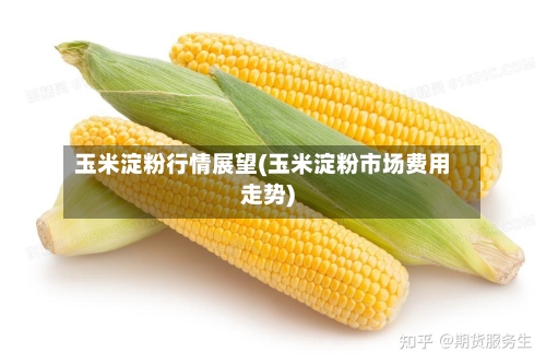 玉米淀粉行情展望(玉米淀粉市场费用走势)