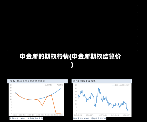 中金所的期权行情(中金所期权结算价)