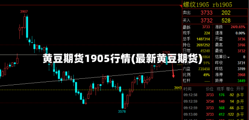 黄豆期货1905行情(最新黄豆期货)
