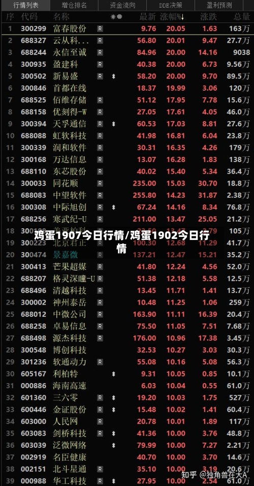 鸡蛋1907今日行情/鸡蛋1902今日行情