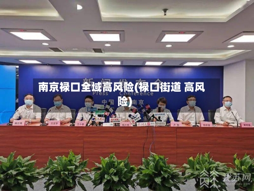 南京禄口全域高风险(禄口街道 高风险)-第2张图片