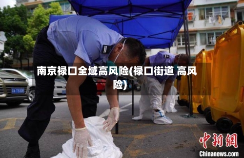 南京禄口全域高风险(禄口街道 高风险)-第3张图片