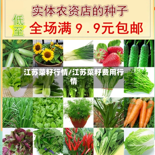 江苏菜籽行情/江苏菜籽费用行情-第3张图片