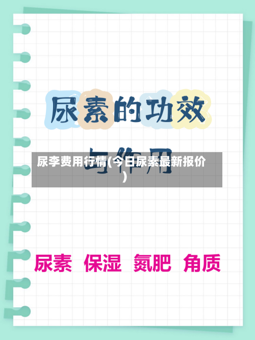 尿李费用行情(今日尿素最新报价)