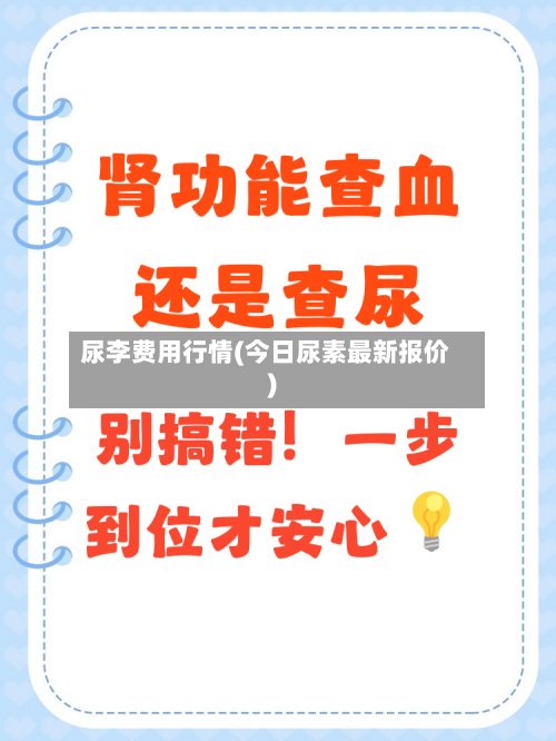 尿李费用行情(今日尿素最新报价)-第2张图片