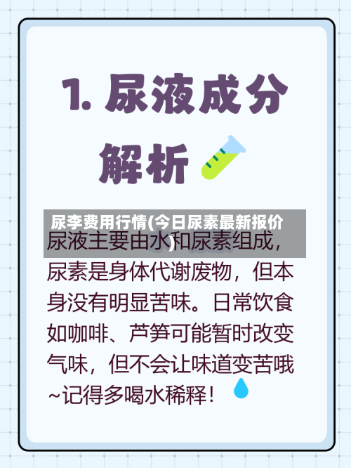 尿李费用行情(今日尿素最新报价)-第3张图片