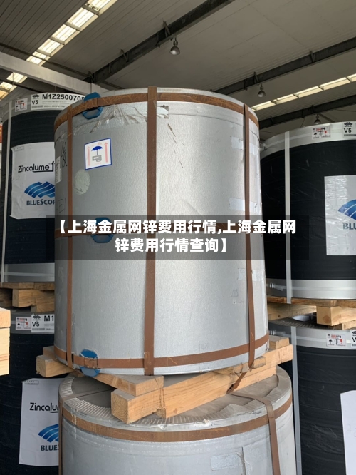 【上海金属网锌费用行情,上海金属网锌费用行情查询】
