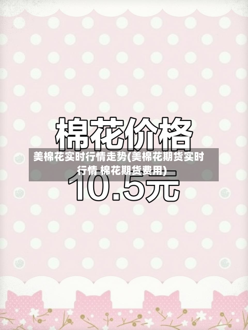 美棉花实时行情走势(美棉花期货实时行情 棉花期货费用)