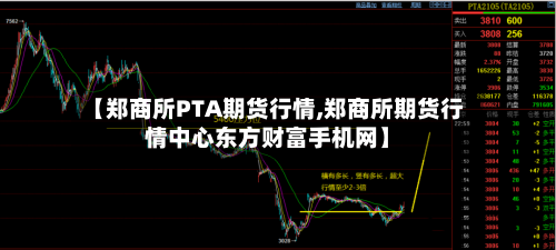 【郑商所PTA期货行情,郑商所期货行情中心东方财富手机网】