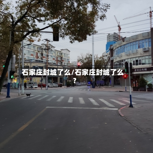 石家庄封城了么/石家庄封城了么?