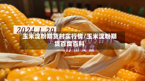 玉米淀粉期货时实行情/玉米淀粉期货百度百科-第2张图片