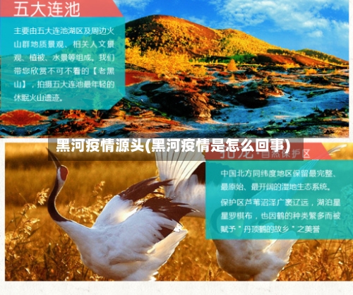 黑河疫情源头(黑河疫情是怎么回事)