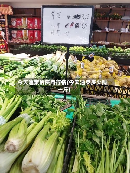今天油菜的费用行情(今天油菜多少钱一斤)-第2张图片