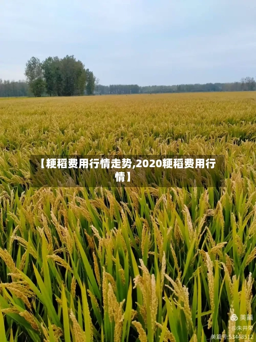 【粳稻费用行情走势,2020粳稻费用行情】-第3张图片