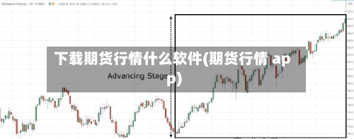 下载期货行情什么软件(期货行情 app)