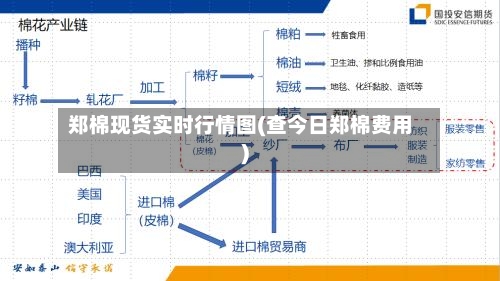 郑棉现货实时行情图(查今日郑棉费用)