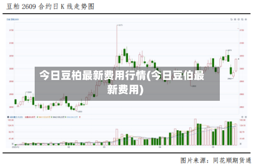 今日豆柏最新费用行情(今日豆伯最新费用)