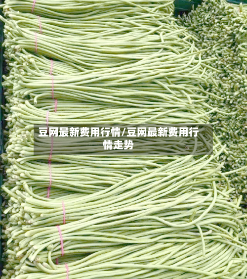 豆网最新费用行情/豆网最新费用行情走势