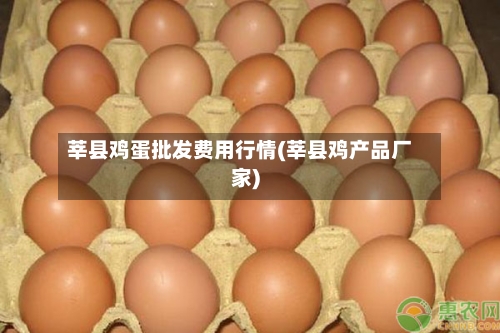 莘县鸡蛋批发费用行情(莘县鸡产品厂家)-第2张图片