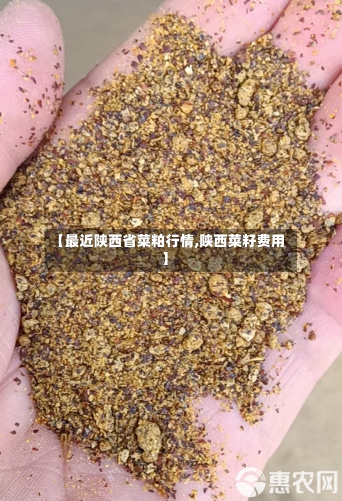 【最近陕西省菜粕行情,陕西菜籽费用】-第3张图片