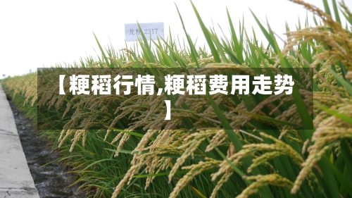 【粳稻行情,粳稻费用走势】