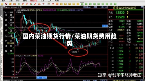 国内菜油期货行情/菜油期货费用趋势-第3张图片