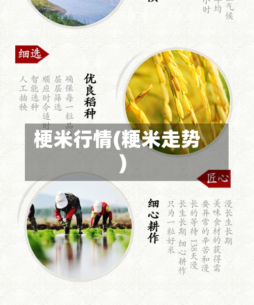 梗米行情(粳米走势)-第2张图片