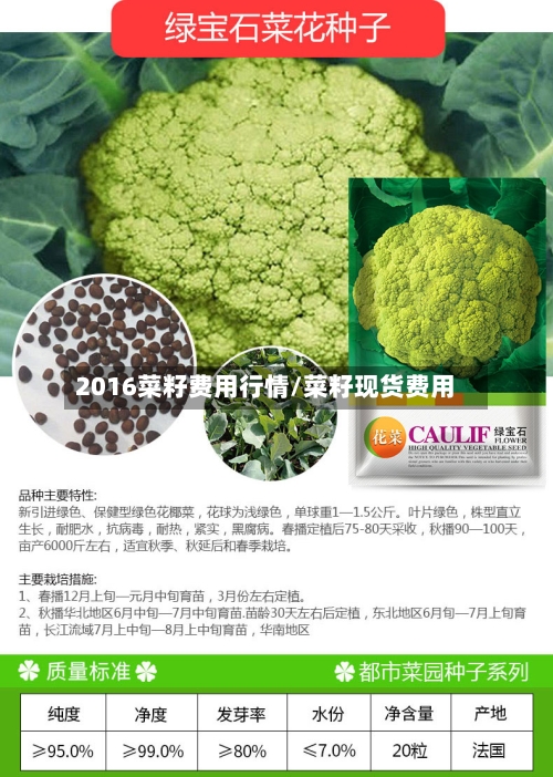 2016菜籽费用行情/菜籽现货费用