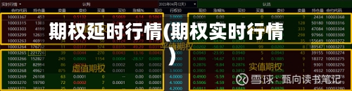 期权延时行情(期权实时行情)