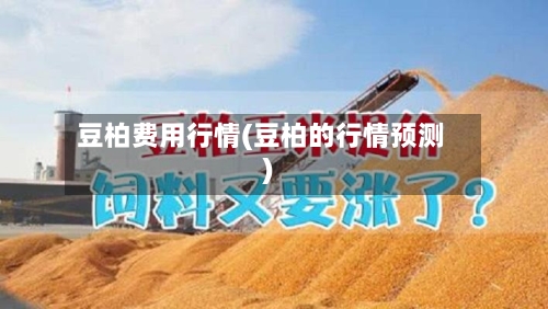豆柏费用行情(豆柏的行情预测)-第2张图片