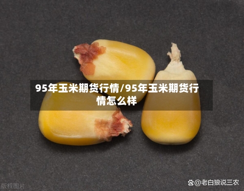 95年玉米期货行情/95年玉米期货行情怎么样