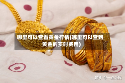 哪里可以查看黄金行情(哪里可以查到黄金的实时费用)-第3张图片