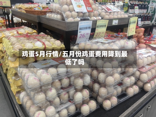 鸡蛋5月行情/五月份鸡蛋费用降到最低了吗-第2张图片